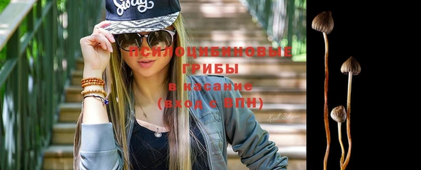 дмт Армянск