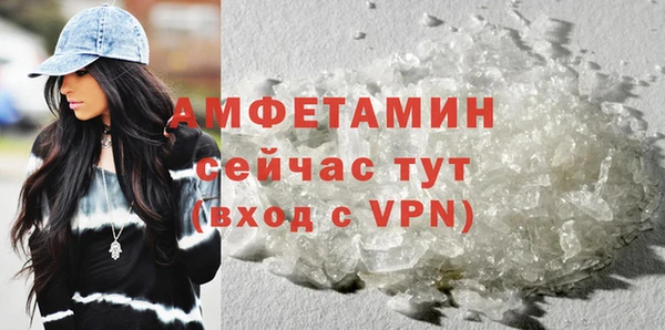 трава Аркадак