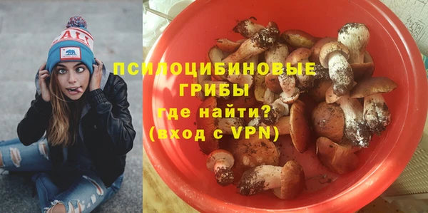 прущая мука Богданович