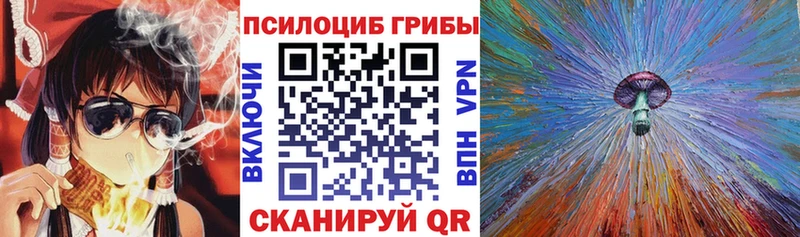 Псилоцибиновые грибы Psilocybine cubensis где найти наркотики Спас-Деменск